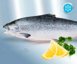 Атлантический лосось (Salmo Salar) (ca.4-5kg), потрошеный, цельный с головой (Superior)