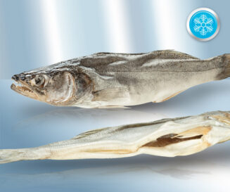 Zander (Stizostedion lucioperca) salted, dried, with head, gutted (15-25cm), 100-150g