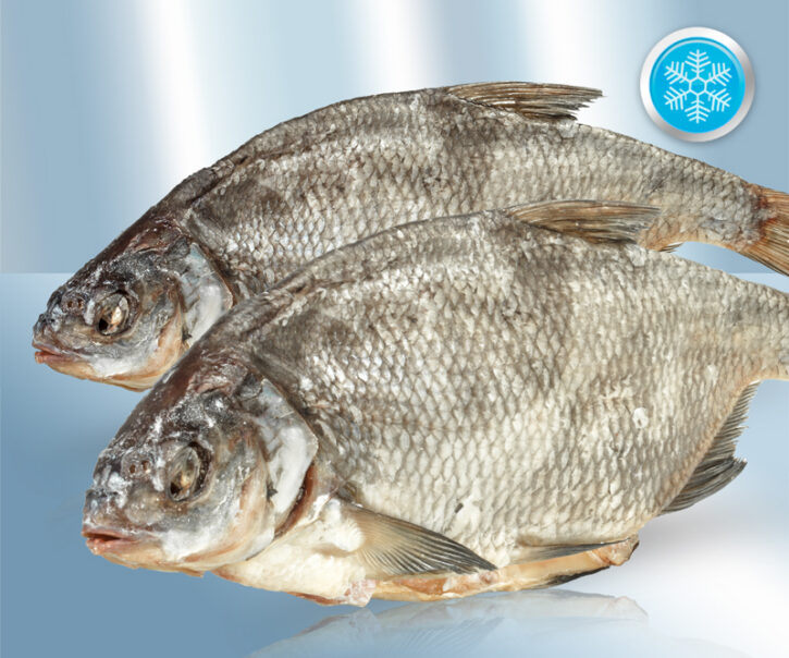 Bream (Abramis brama) salted and dried, with head, gutted (24-28cm)