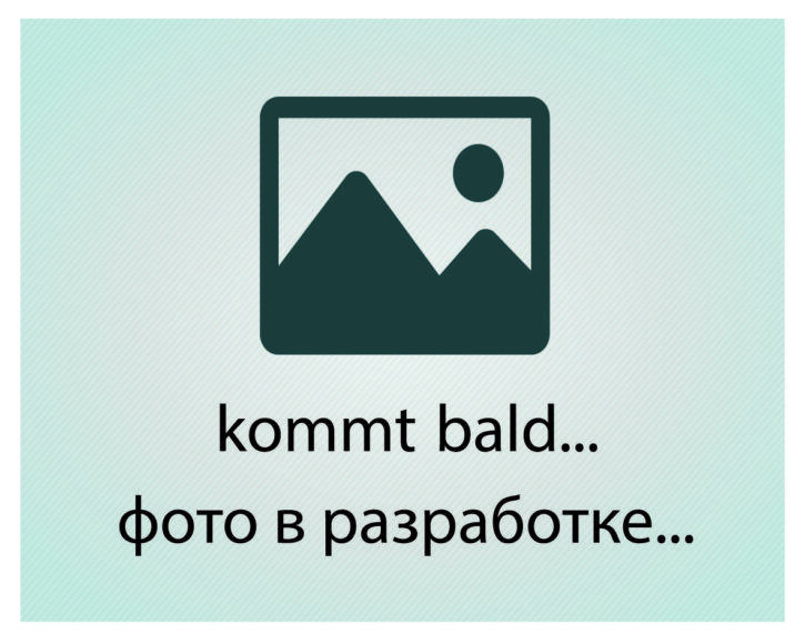 Плакат Семечки Атаман
