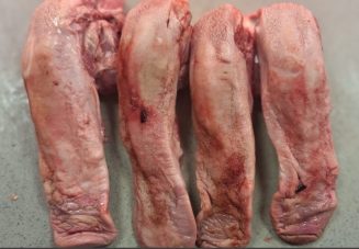 Pork tongue