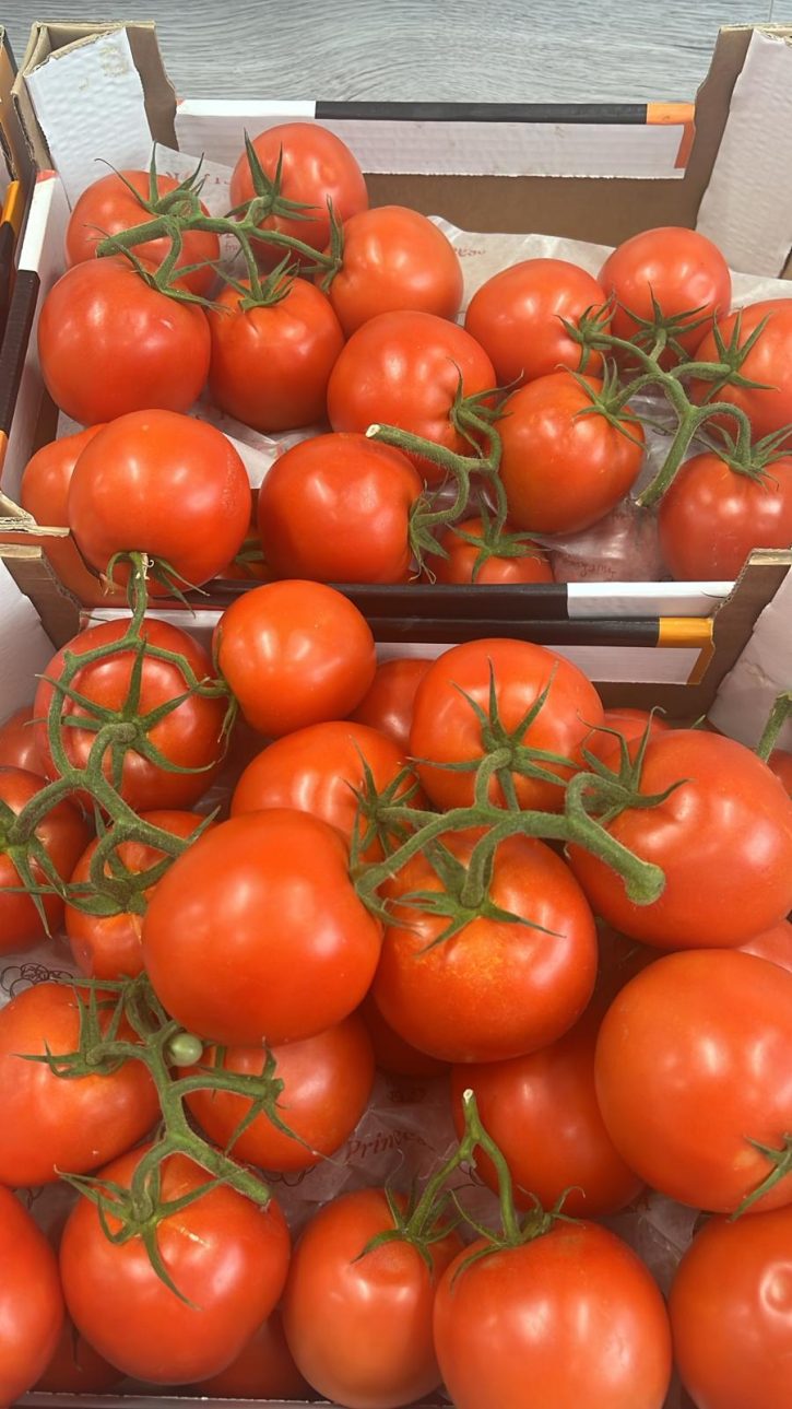Tomaten op een tak