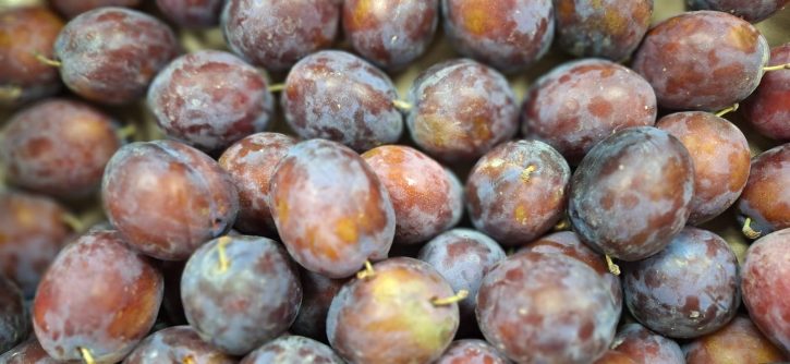 Plum President