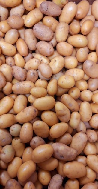 Small potatoes